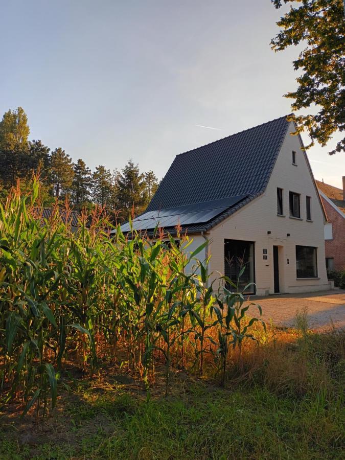 B&B Snelleghem Snellegem Dış mekan fotoğraf
